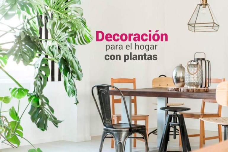 decoracion para el hogar con plantas