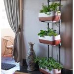 Jardines verticales en casa