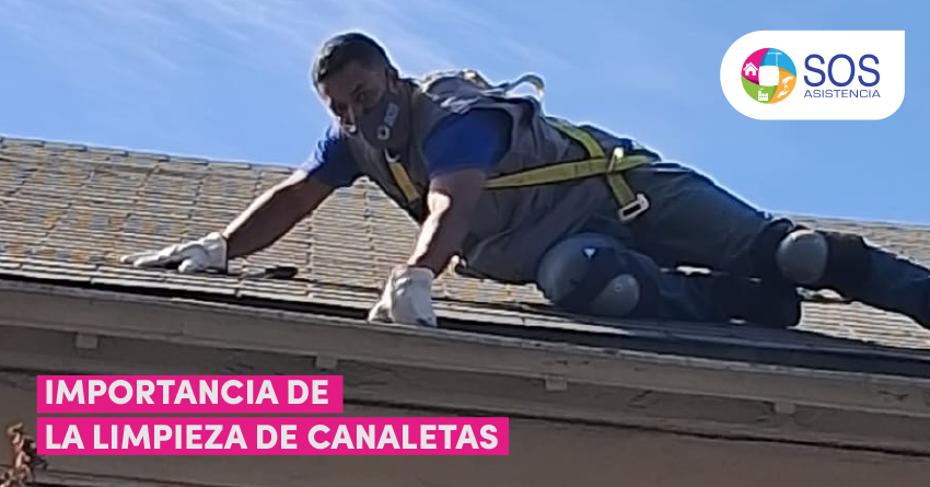 IMPORTANCIA DE LA LIMPIEZA DE CANALETAS